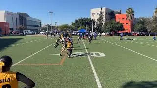 Zorros JV vs Instituto Mexico