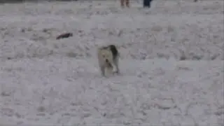 Rare Snowfall Across South Texas