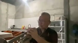 SKYLINE PIGEON - Elton John  (Trumpet) cover