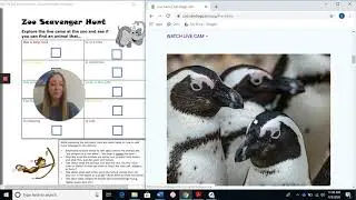Kindergarten Activities&mdash;Virtual Zoo Scavenger Hunt