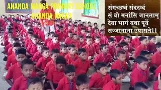 YOGA DAY CELEBRATING LEADING BY VADIC SLOK OF  ANANDA MARGA PRIMARY SCHOOL ANANDANAGAR