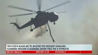 Πολύωρη μάχη με τις φλόγες στο Νιοχώρι Οιχαλίας  Καμένες εκτάσεις ελαιώνων άφησε πίσω της η πυρκαγιά