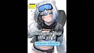 arknightts endfield | những sự thật th&uacute; vị về snowshine