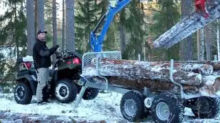 Avesta Ms 38 In Action