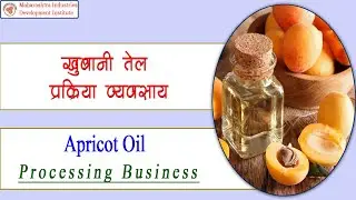 खूबानी तेल बनाने का व्यवसाय || Apricot Oil Making