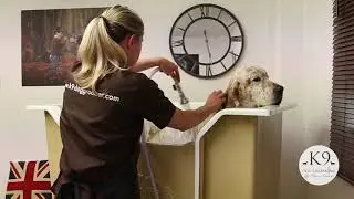 #redcapehydrobath The Hydrobath Pro at K9 Dog Grooming By Rebecca Goutorbe UK - Redcape Hydrobath