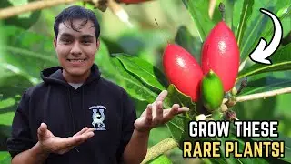 5 RARE Plants You Should Grow!👀🌿S:4, Ep.08//The Ultimate Gardener