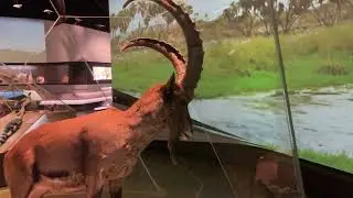A beautiful tour in the Ithra Museum | متحف اثراء