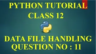 CS WITH NS || WRITE A FUNCTION TO WRITE MULTIPLE LINES INTO A TEXT FILE DAYNOTE.TXT || CLASS 12 CBSE