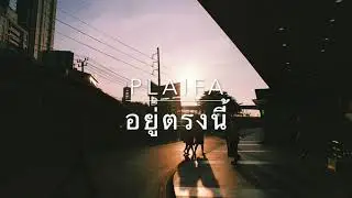 อยู่ตรงนี้-พงษ์สิทธิ์ คัมภีร์ [COVER BY ปลายฟ้า]