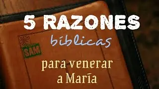 RAZONES BIBLICAS DEL POR QUÉ VENERAMOS A MARÍA