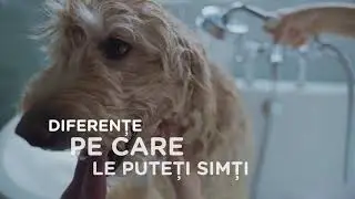 Hills Science Plan - Nutriția bazată pe știință