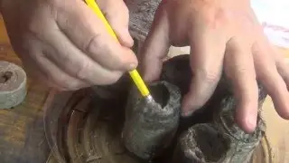 How to Transplant Super Hot Peppers to Peat Pods