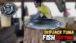 Large Skipjack Tuna Fast Fish Cutting Within 3 Minutes | Amazing Fish Cutting Skills