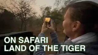 India Land of the Tiger Day 2. Pench Tiger Safari