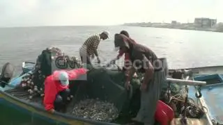 GAZA'S FISHERMEN STRUGGLE