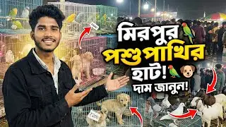 গিয়েছিলাম মিরপুর ১ পশুপাখির হাট এ বিড়াল এর দাম জানতে এবং কিনতে। 😳🤗