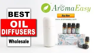 Wholesale Diffusers Mini Essential Oil Diffuser X129