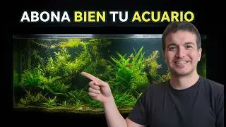“Los mitos del abono que están arruinando tu acuario plantado”