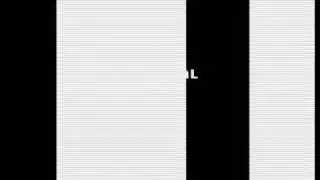 The Pixel 2009