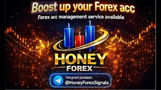 Best Forex Account Management & VIP Gold Signals (85%&ndash;98% Accuracy) | Honey Forex