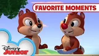 Nutty Tales Compilation Favorite Moments | Chip 'N Dale's Nutty Tales | @disneyjr