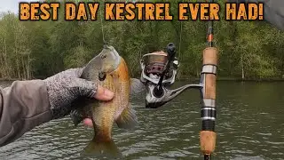 NON STOP Bluegill Action and Ramble! Kastking Kestrel & F125 Floats!