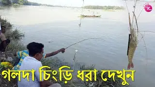 গঙ্গায় গলদা চিংড়ি ধরা দেখুন – Galda Chingri Fishing at Ganga | Rozina’s Club
