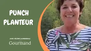 RECETTE DE PUNCH PLANTEUR