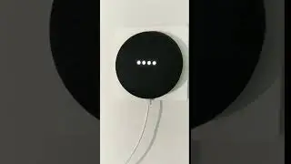 Google Home Mini Test | #shorts