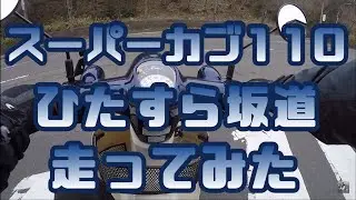 【JA44】 スーパーカブ110で八木山の坂を登って八木山動物公園駅に行ってきた