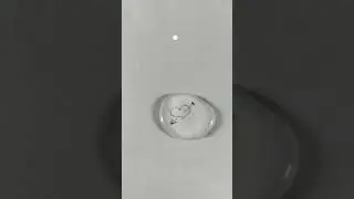 Small heart,big love...in a single drob,,,  💧 &hearts;️