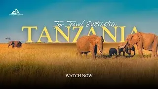 Tanzania Travel Guide: The Ultimate Safari & Trekking Adventure 2026