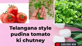 Trending pudina tomato ki chatni recipe 😋😋 tasty in healthy