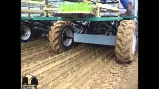 www.trekkertrekker.nl - Primeur - Automatische Uien planter HD144 Transplanter 3x41 - Gast video -