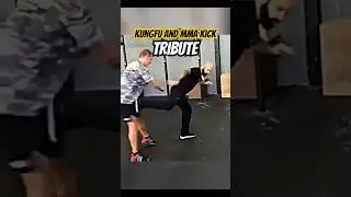 Kungfu And Mma Kick Tribute 👊💥#kungfu #kick #mma #trendingvideo #viralvideo #shorts #ufc #muaythai