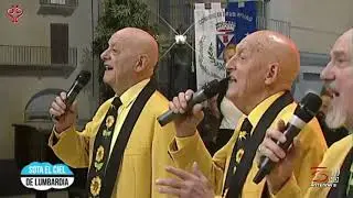 I GIRASOLI con i Nuovi Brani 