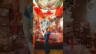 Deliberate Motion