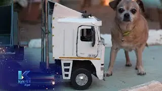 Kwêla - Gert de Waal (Modelvragmotors)