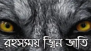 রহস্যময় জ্বিনদের বিষ্ময়কর কাহিনি | যা হয়তো আপনার এখনো অজানা | Rohossomoy Jinnder bishmoykor kahini |