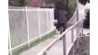 Funny Videos 2017