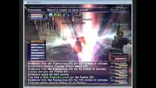 FFXI - (Old) First time Meeble Mongers!