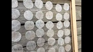 Faux Capiz Shell DIY