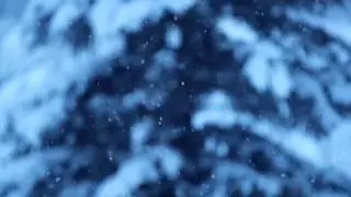 Slow Motion Snowfall