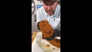 Beer Battered Fish!