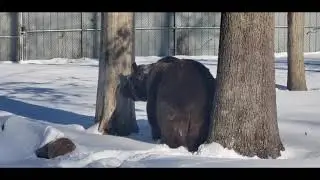 Just Leo, doling his Leo thing. Good morning everyone!