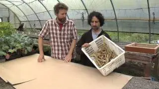 Seed Works - Beans; Harvesting and Cleaning