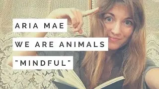 Part 1: Mindfulness- Paying Attention to Every Moment as a Way to Magic
