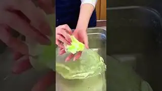 Fake Cabbage Reality #Shorts