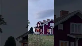 Living alone in the countryside of Sweden 🌲🌲 #home #countryside #calm #nature #lifeinsweden